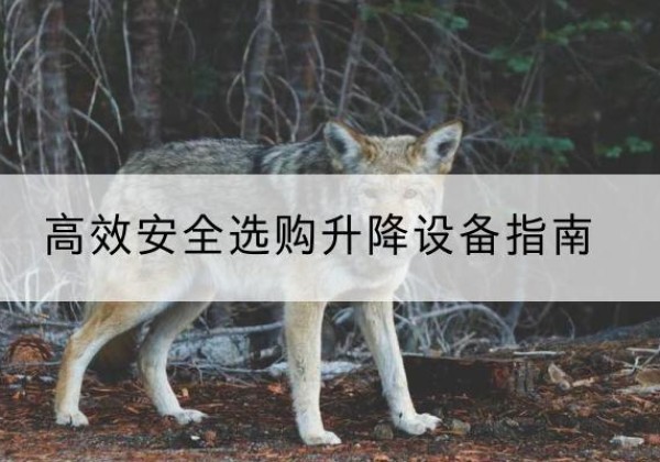 察哈尔右翼前旗升降货梯厂家推荐-*安全选购升降设备指南