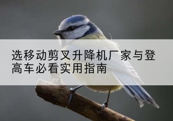 察哈尔右翼前旗电动升降机厂家-选移动剪叉升降机厂家与登高车必看实用指南