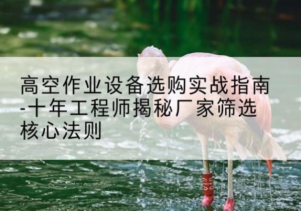 察哈尔右翼前旗剪叉式升降机厂家-高空作业设备选购实战指南-十年工程师揭秘厂家筛选核心法则